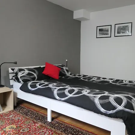 Wohnen Am Ufer Der Mosel In * Trier