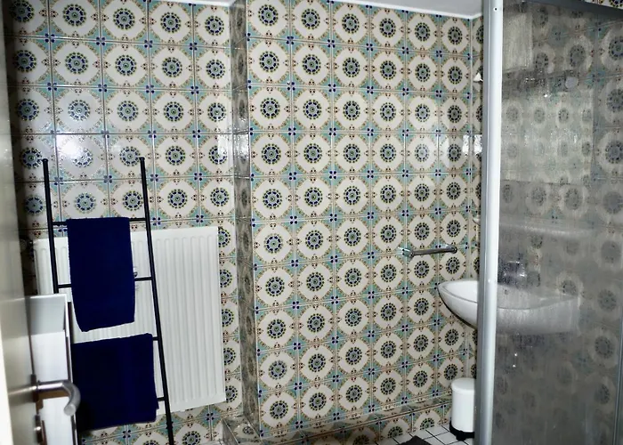 Wohnen Am Ufer Der Mosel In 特里尔